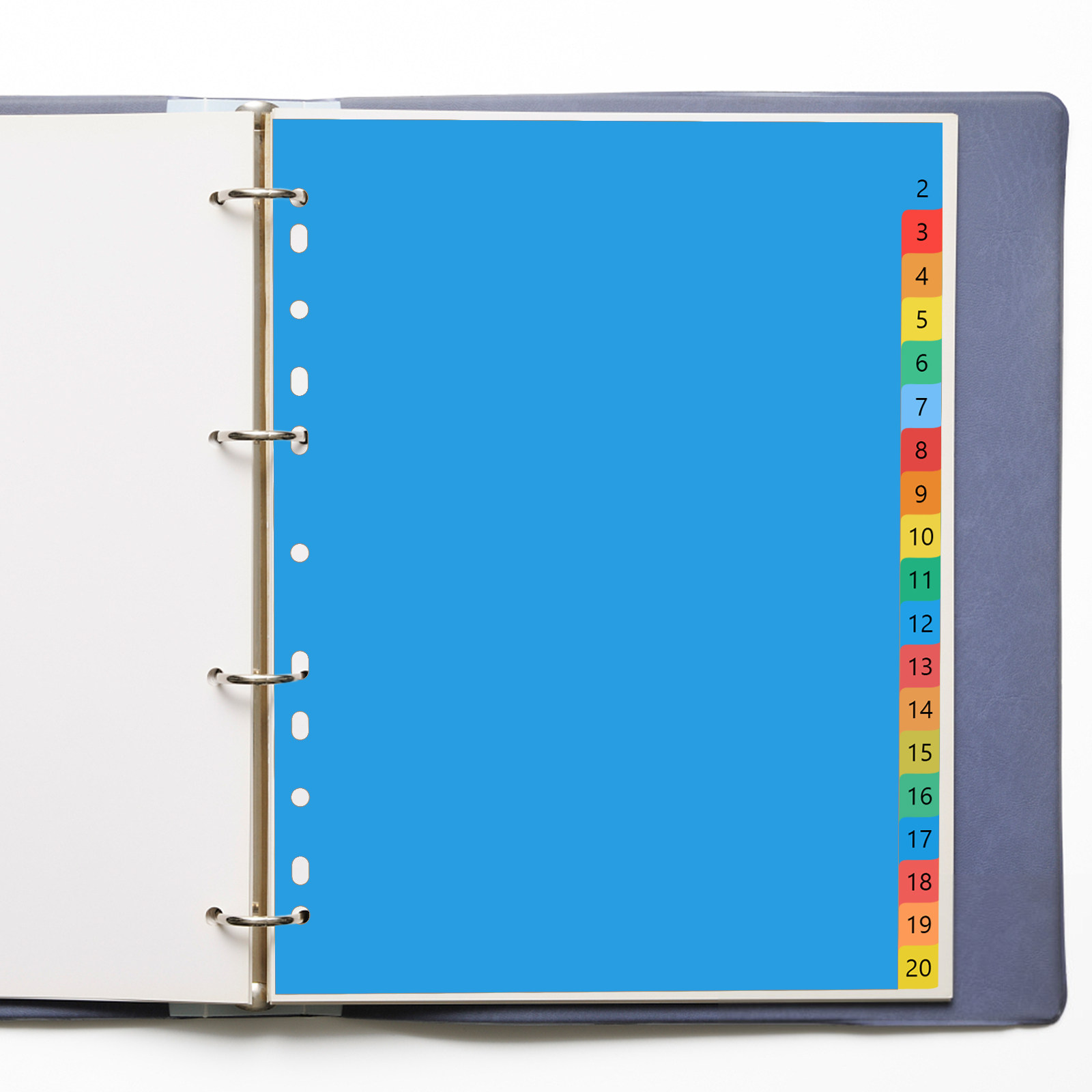 Tab Divider A4 - 20 pages A4, intercalaires en plastique