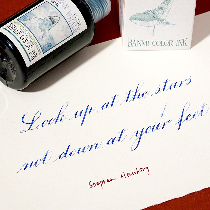 Encre pour stylo plume Banmi W - Fountain Pen Bottled Ink avis et prix