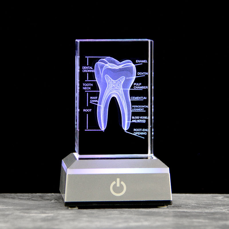 Figurines dentaires en forme d - Paper Weight Crystal avis et prix